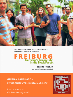 Study Abroad Freiburg 2019