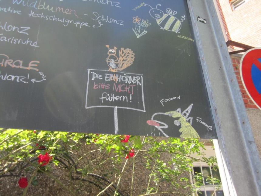 A chalk board with festive drawings lets students know about upcoming events on campus at Karlsruhe Institute of Technology